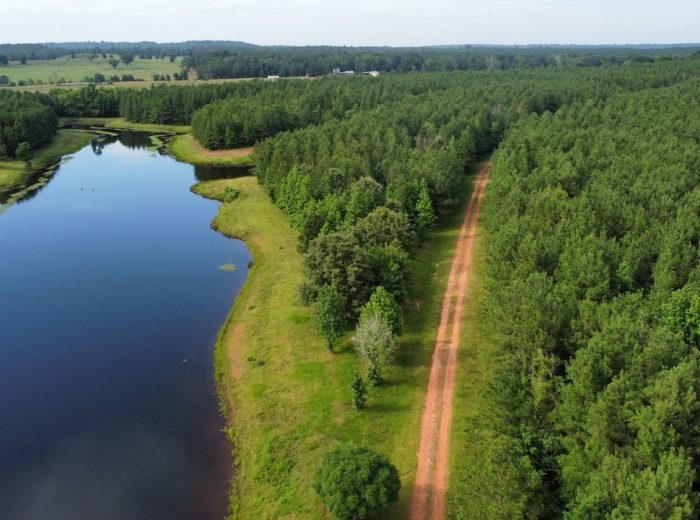 Dji fly 20240515 170734 430 1715810866909 photo optimized 1