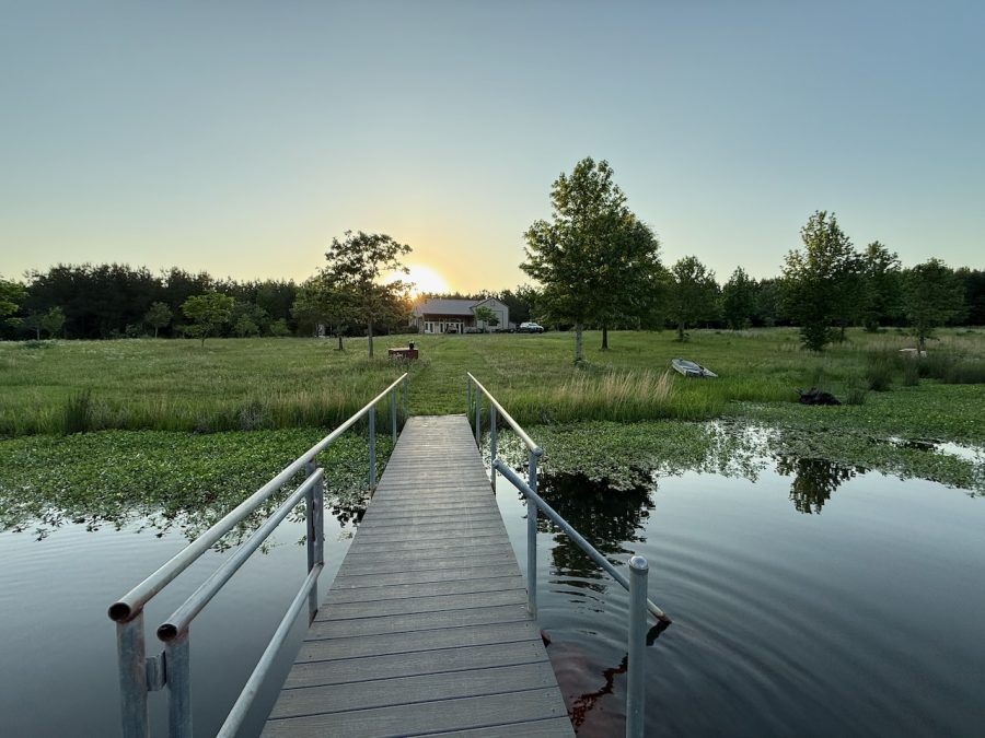 Pond