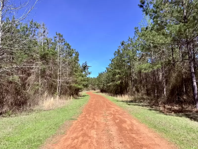 Outdoors