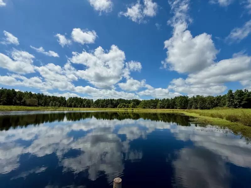 7.6 acre stocked pond