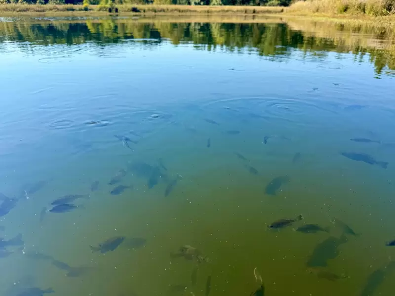Fishing at Whispering Pines